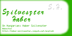 szilveszter haber business card